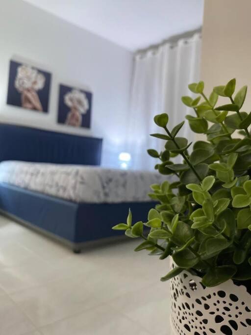 Appartamenti Stella D'Argento Trapani Zewnętrze zdjęcie