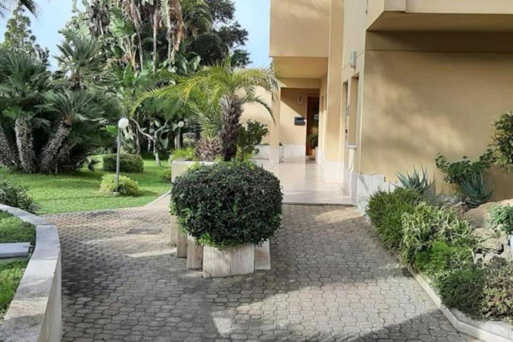 Appartamenti Stella D'Argento Trapani Zewnętrze zdjęcie
